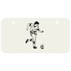 3 X 6 Aluminum License Plate Thumbnail
