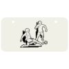 3 X 6 Aluminum License Plate Thumbnail