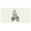3 X 6 Aluminum License Plate Thumbnail