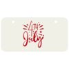 3 X 6 Aluminum License Plate Thumbnail