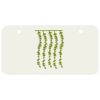 3 X 6 Aluminum License Plate Thumbnail