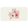 3 X 6 Aluminum License Plate Thumbnail