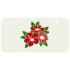 3 X 6 Aluminum License Plate Thumbnail