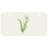 3 X 6 Aluminum License Plate Thumbnail