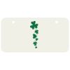 3 X 6 Aluminum License Plate Thumbnail