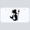 3 X 6 Aluminum License Plate Thumbnail