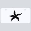 3 X 6 Aluminum License Plate Thumbnail
