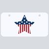 3 X 6 Aluminum License Plate Thumbnail