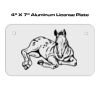 4 X 7 Aluminum License Plate  Thumbnail