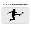 4 X 7 Aluminum License Plate  Thumbnail