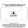 6 X 12 Full Size Aluminum License Plate for Cars and Trucks  Thumbnail